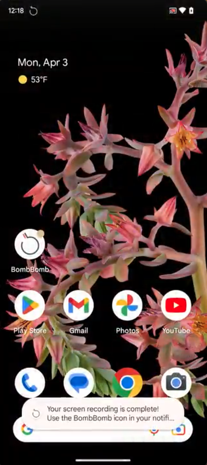 Screenshot_2023-04-28_at_10.18.32_AM.png